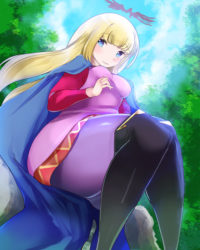 プリンセスガードと姫が駆け落ちしたらお兄様がついてきた